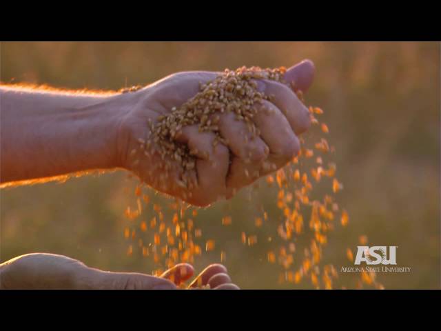 Humanities infuse research with history, culture and meaning