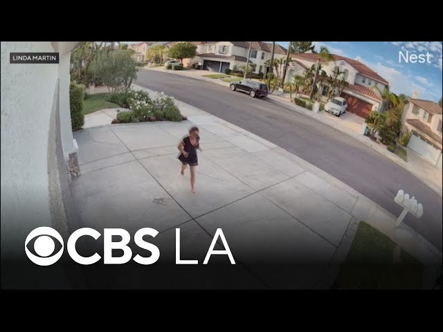 Rattlesnake bites Stevenson Ranch woman while she tends her garden