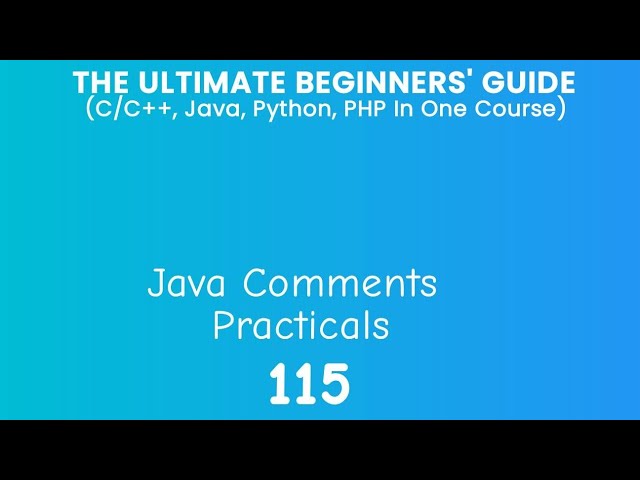 115. Java Comments Practical