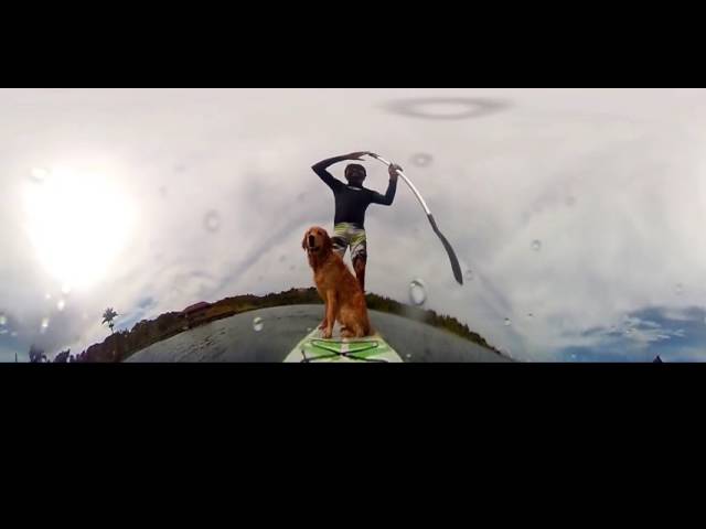 OKAA 360 Panoramic  Camera WiFi 1440P 30FPS -  Stand Up Paddle - Lago Paranoa - Dog on the board