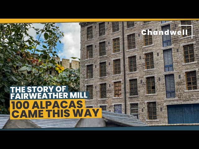 100 Alpacas, a Railway Engineer, and how I built an N Scale 5-Storey Mill from card