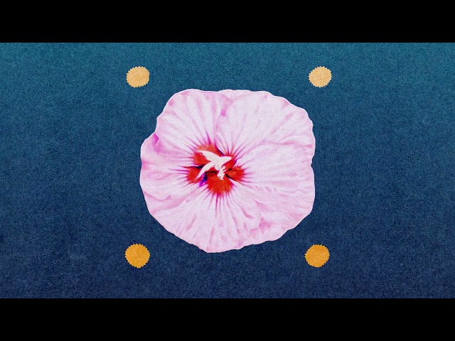 L'Impératrice, Louve — chrysalis [Audio Video]