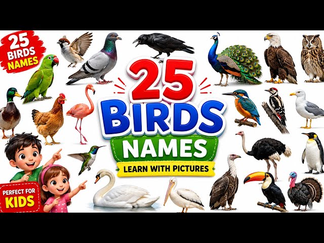 Bird Names in English & Hindi 🐦🦜🦚 | Learn Birds for Kids | Bird Names for Kids