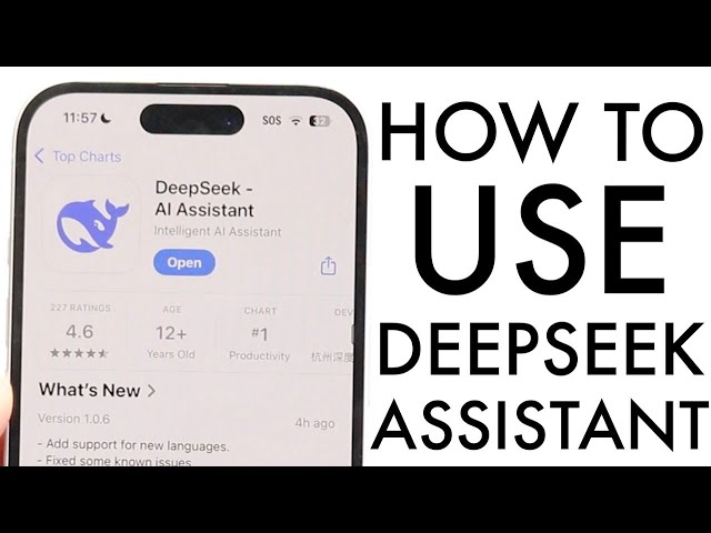 How To Use Deepseek AI! (Complete Beginners Guide)
