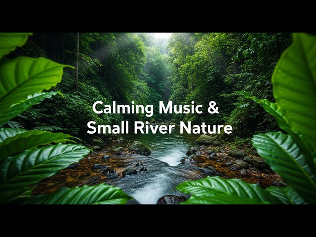 Escape to Hidden Stream: Calming Music & Small River Nature Sounds for Deep Relaxation