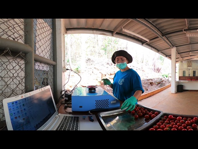 JNC smart system Tomato quality control NIR