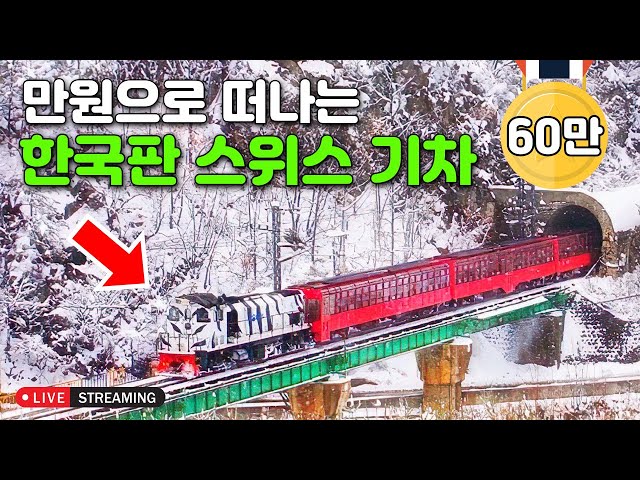 [라이브소통] 대한민국 청정지역을 관통하는 기차 여행코스 BEST 4 | 대중교통 당일치기 여행