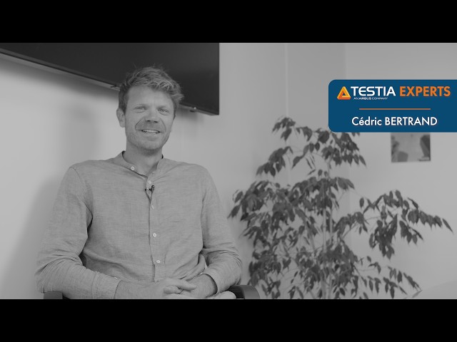 Testia Experts, life of a Post-Processing Software Team Leader