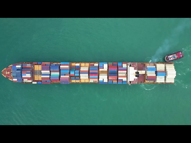 TradeLens and Blockchain Technology Supply Chain Demo