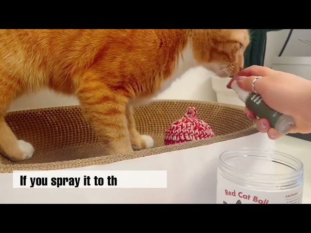 Say goodbye to your cat’s stress with Active Catnip Spray!