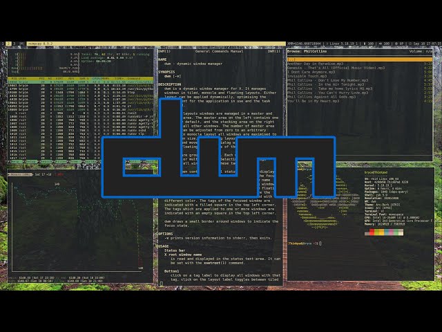 dwm: The Dynamic Window Manager