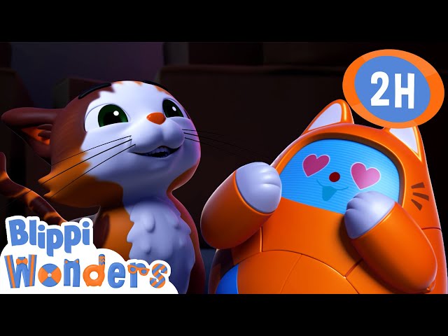 T.A.B.B.S. is In-CAT-uated! | Blippi Wonders | Preschool Learning | Moonbug Tiny TV