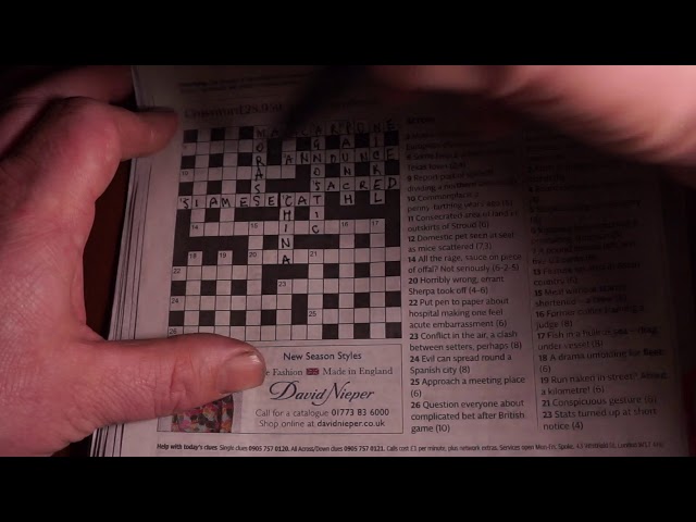 Telegraph Cryptic Crossword #2