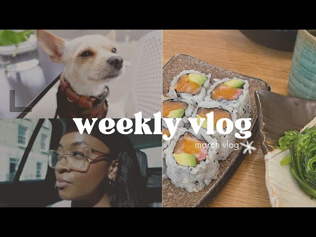 VLOG: INKEY LIST EVENT, SELFRIDGES SHOPPING, CAUDALIE FACIAL, MEETINGS + PUP PLAYDATES