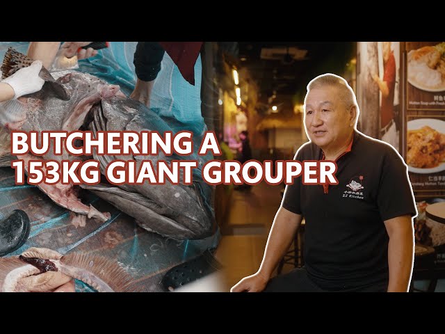 Cutting a 153KG Giant Grouper fish: The Grouper King