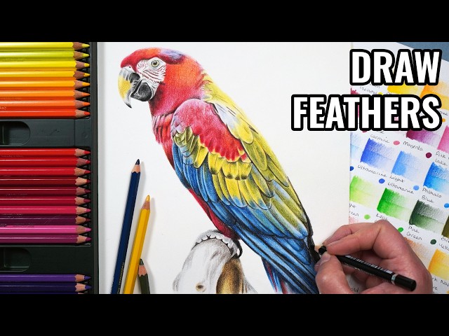 How To Draw Feathers With Watercolour Pencils