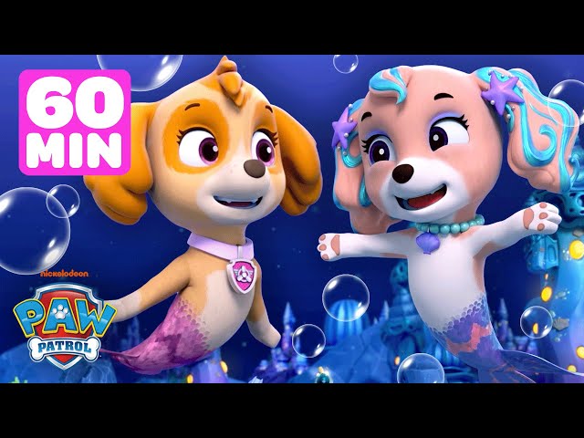 Skye & PAW Patrol Aqua Pups Underwater Rescues! w/ Coral | 1 Hour Compilation | Shimmer and Shine