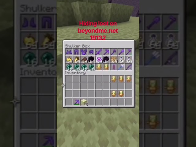 100 likes? #minecraft #gaming #lifstealsmp #blowup #java #bedrock