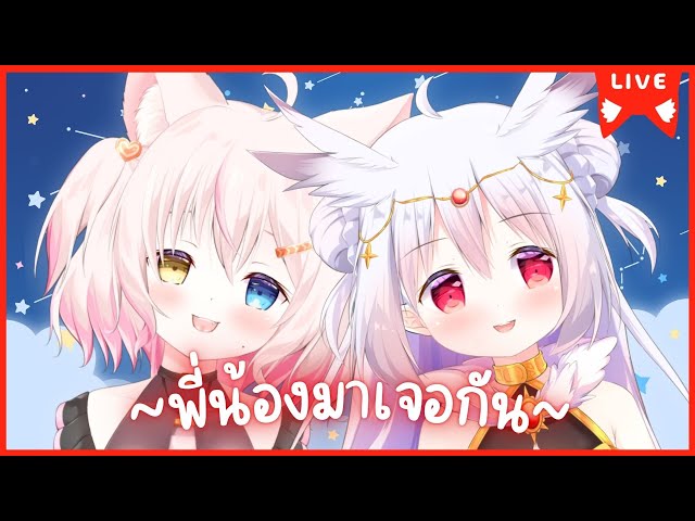 【🌸Collab Stream🌸】พี่สาว น้องสาว ได้มาเจอกันสักที @HimawariWhiteOwl  😻🤍🦉