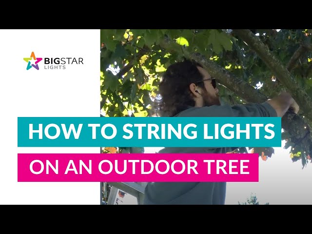 Pro-Installer Tips | How To String Lights on an Outdoor Tree