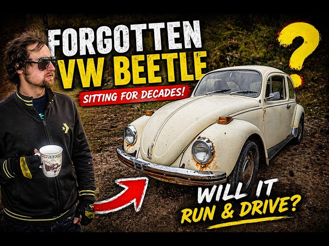 FREE! 1970 Volkswagen Beetle, Will it run and drive?