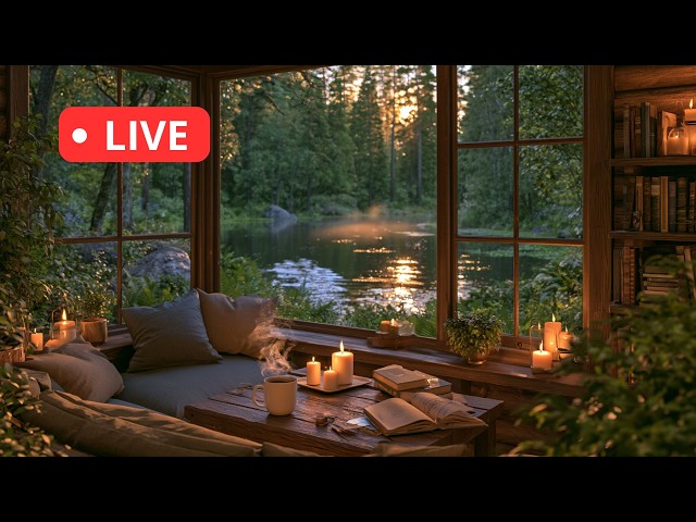 Breathe Slow – Relaxing Acoustic Guitar Music (24/7 Live Stream)