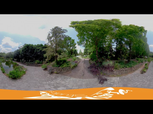 360 sequence HEVC 30 30