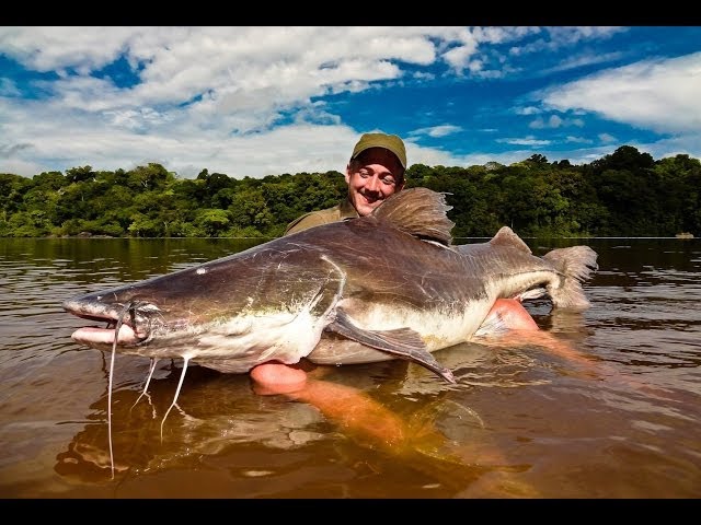Crazy for Laulau (Piraiba fishing - FULL MOVIE eng subs.)