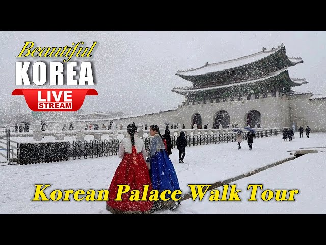 Live Korea 2026 🔴 Snowfall Deoksugung Palace[덕수궁] beautiful Seoul walk | New year walking tour