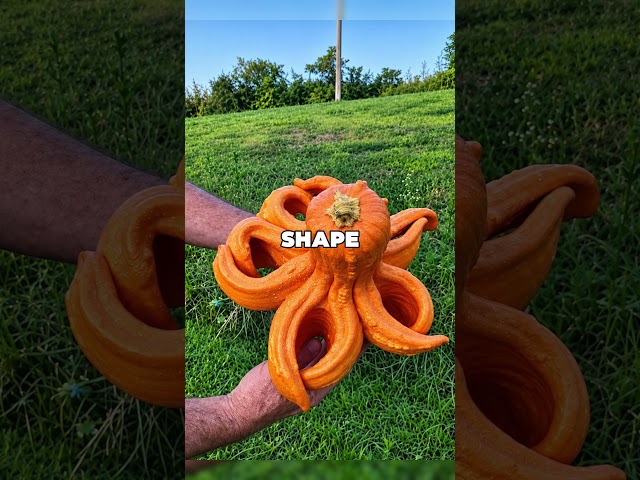 Rare Things Explained 🤯 Mind-Blowing Visual Oddities!