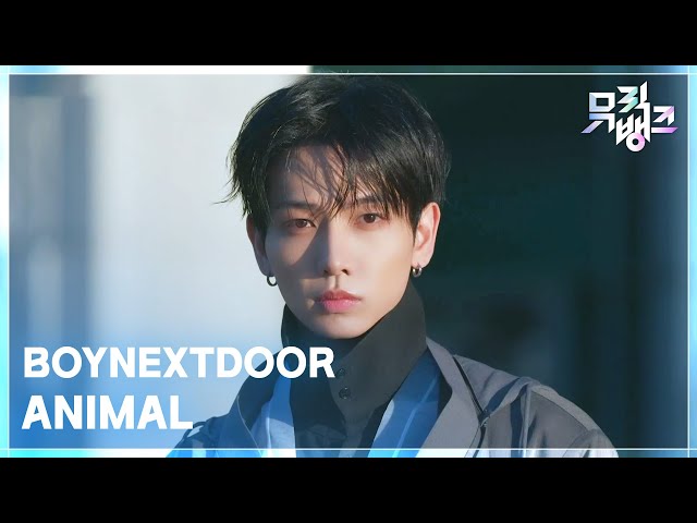 ANIMAL - BOYNEXTDOOR [Music Bank] | KBS Broadcast on 10/16/26