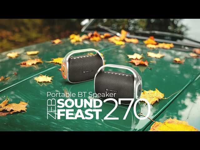 Zebronics Sound Feast 270 (60W) Wireless Bluetooth Speaker