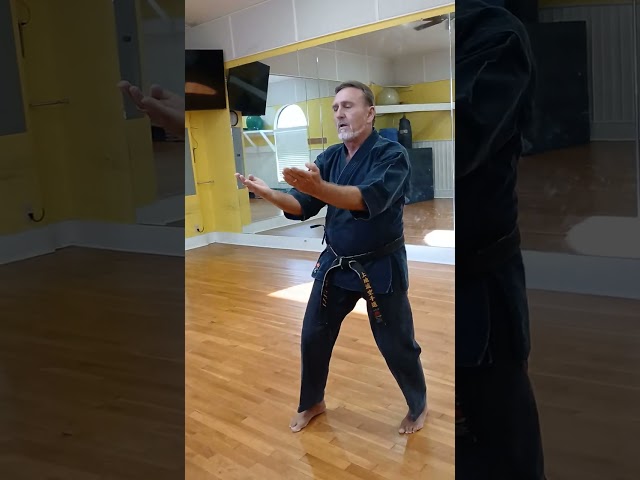 Sanchin Kata Tutorial.