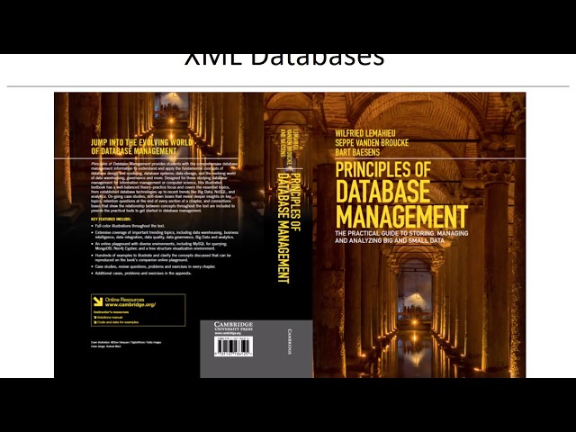 Chapter 10 XML Databases
