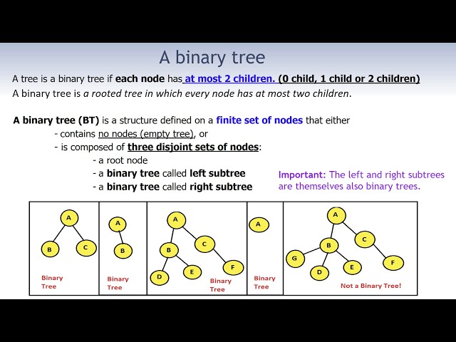 Binary Tree Part2: What Is a Binary Tree? | Types, Characteristics & Properties of Binary Trees