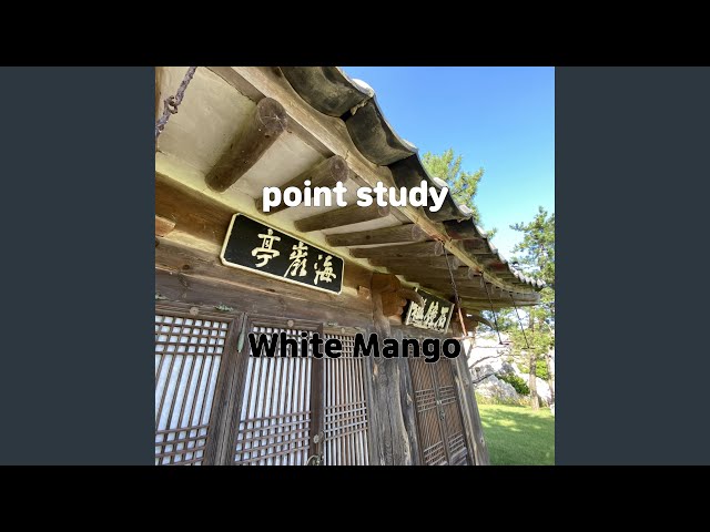 point study
