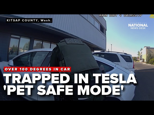 WATCH: Woman TRAPPED in TESLA'S 'pet safe mode' rescued after more than an hour