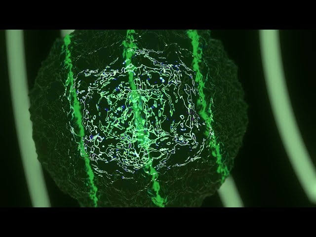 JakoJako - Viridis (Official Video)
