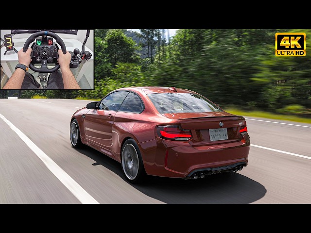 BMW M2 Competition - Forza Horizon 6 | Logitech G923 Steering Wheel