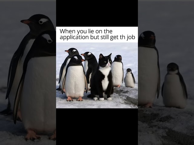 #tech #codingbat #programminglanguage #education #codeadventure #coding #code #python #programming