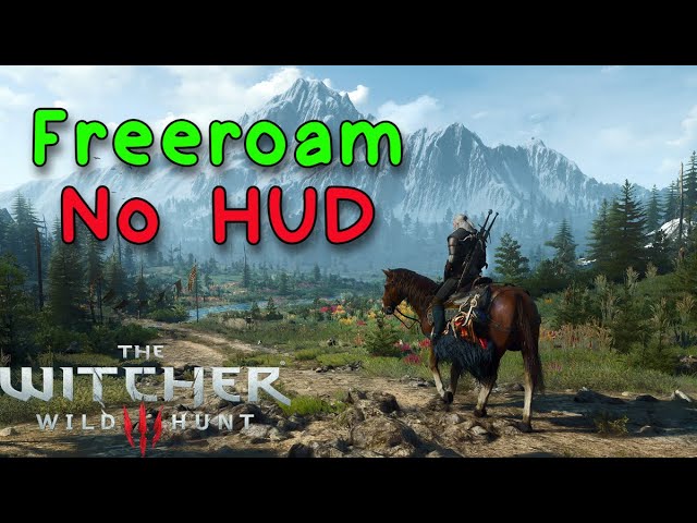 Witcher 3 | Freeroam | No HUD [4K]