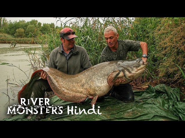 River Monsters Hindi S1E4 – European Maneater ft. Wels Catfish | Ep 4