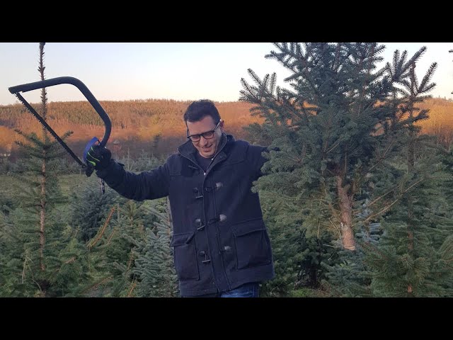 How To Cut Your Own Christmas Tree - In 3D VR180!
