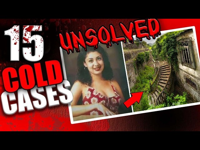 15 Cold Cases That Were Solved In 2024 | True Crime Documentary | Compilation