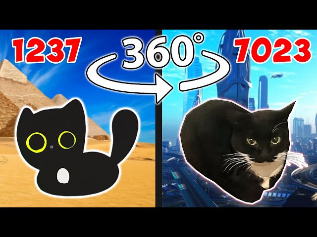 Evolution of Maxwell Cat 360° Video VR 360 #8