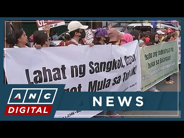 'Lahat ng sangkot, managot': Groups mount protests ahead of Marcos' 5th SONA | ANC
