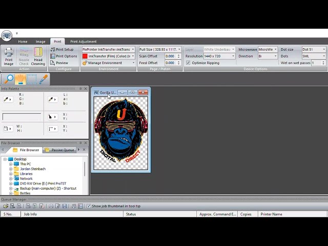 DTF Rip Software Training video