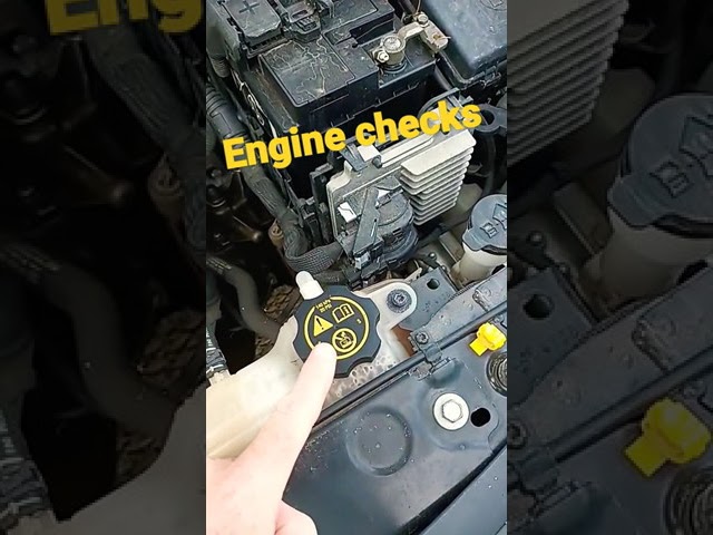 Engine Checks For Driving Test #shorts