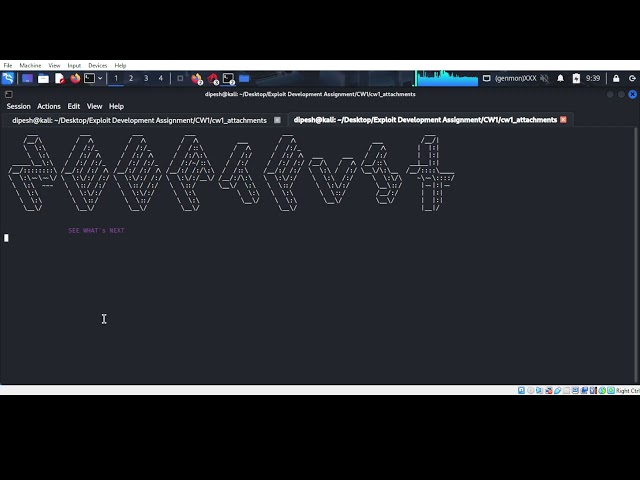 Coursework1 Exploitation