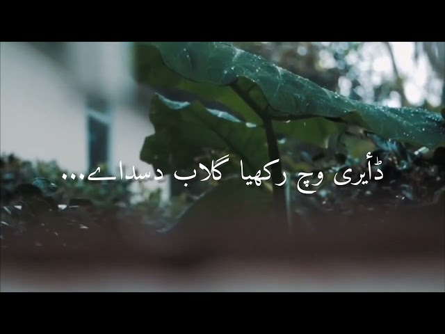 dostaa yariyan ich enj nahi kari da dosta #tayyabaminteja #dostaa